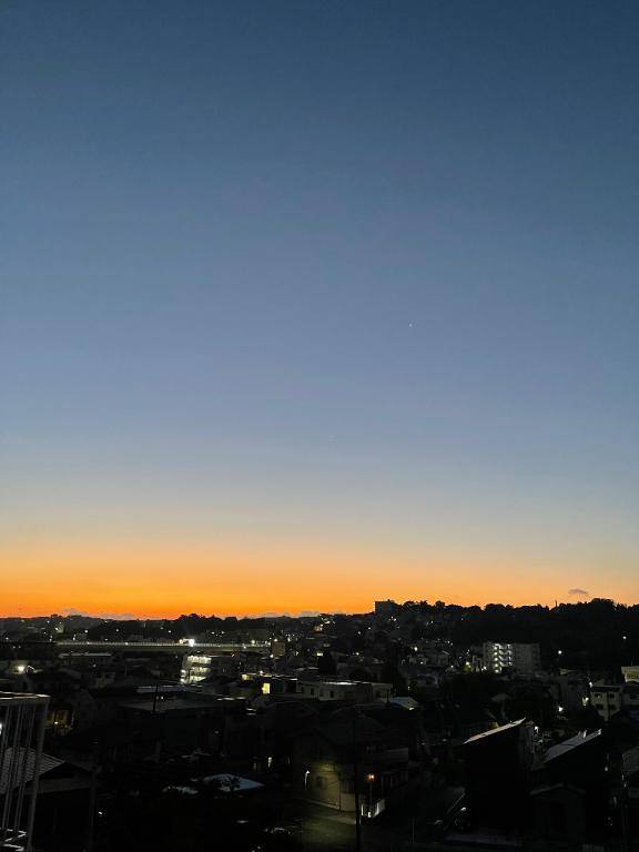 せりなpicture
