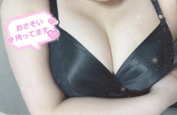 せりなpicture